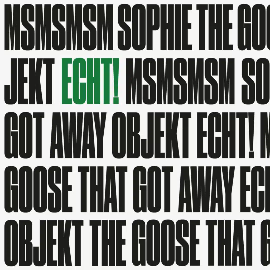 MSMSMSM / The Goose That Got Away