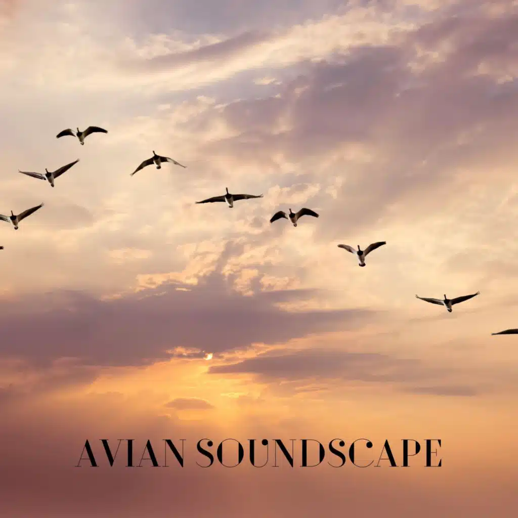 Avian Soundscape
