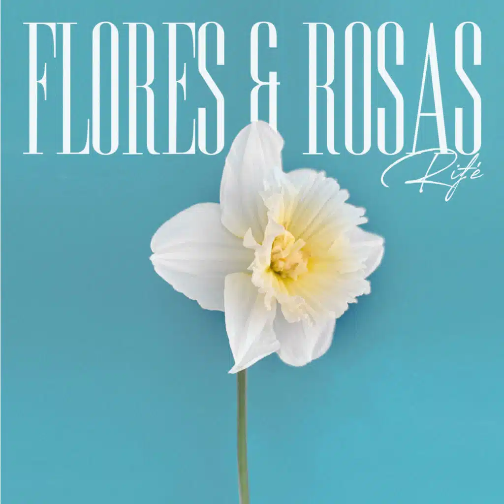 Flores & Rosas