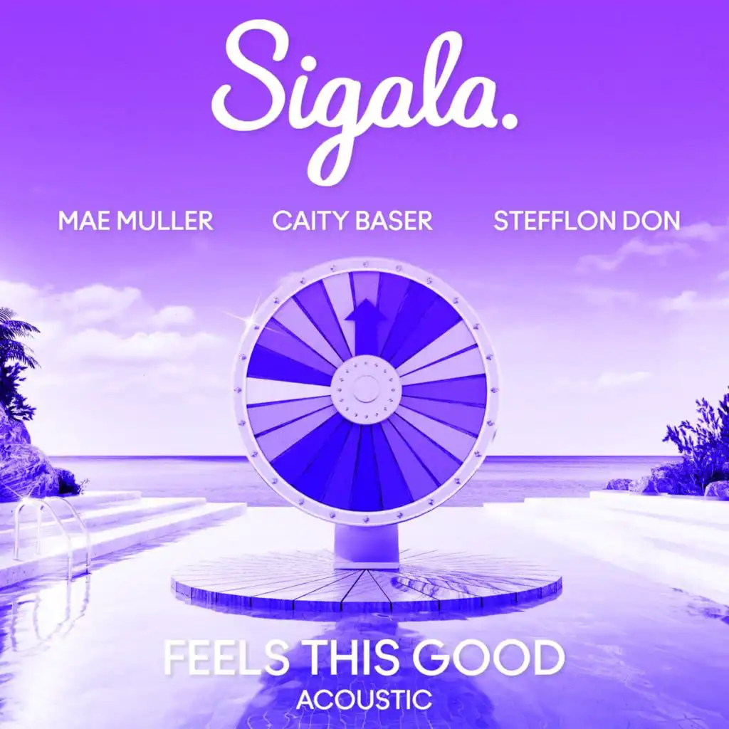 Feels This Good (Acoustic) [feat. Stefflon Don]