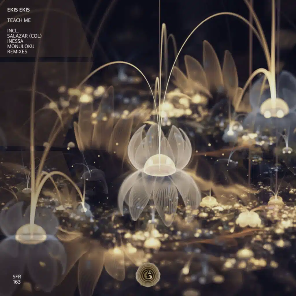 Teach Me (Monuloku Remix)