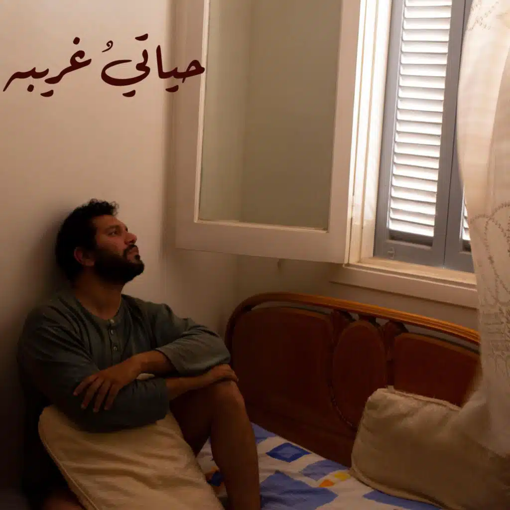 حامد عبد الخالق