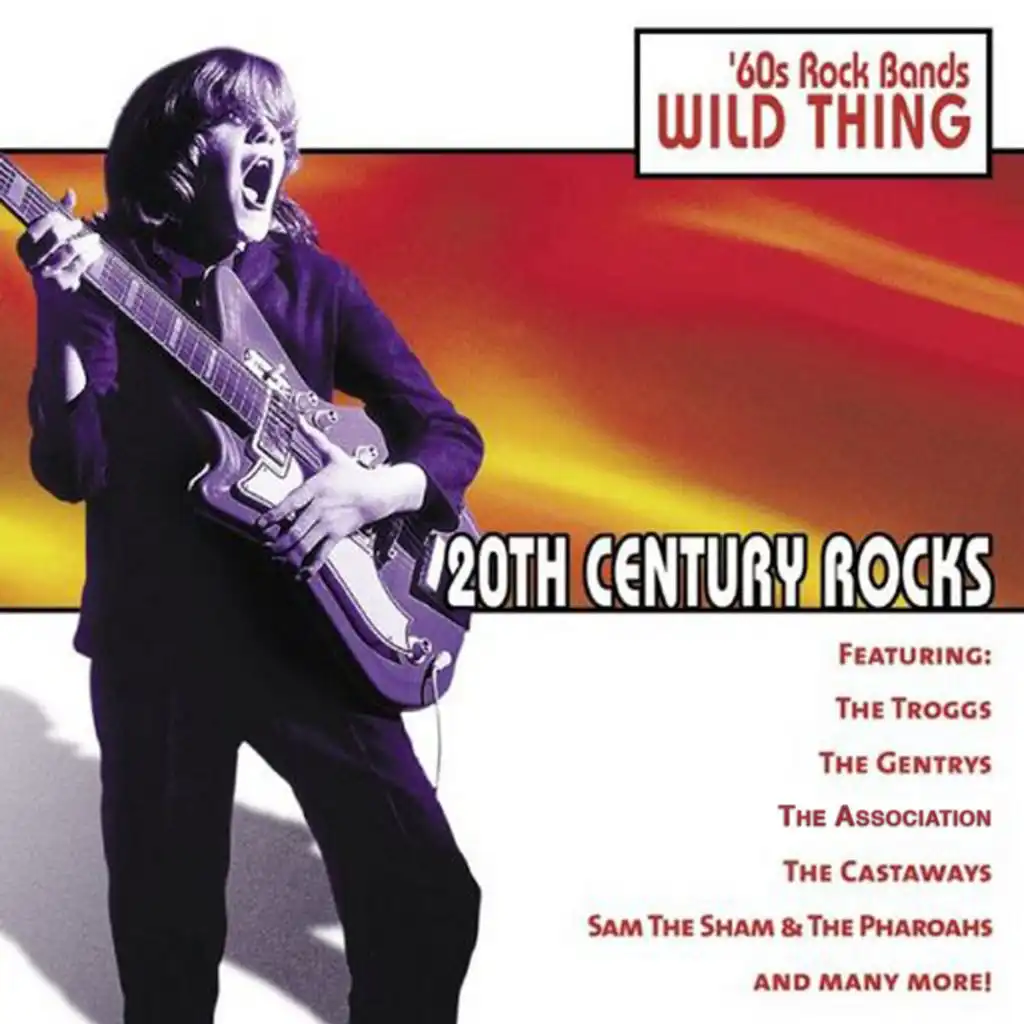 20th Century Rocks: 60's Rock Bands - Wild Thing