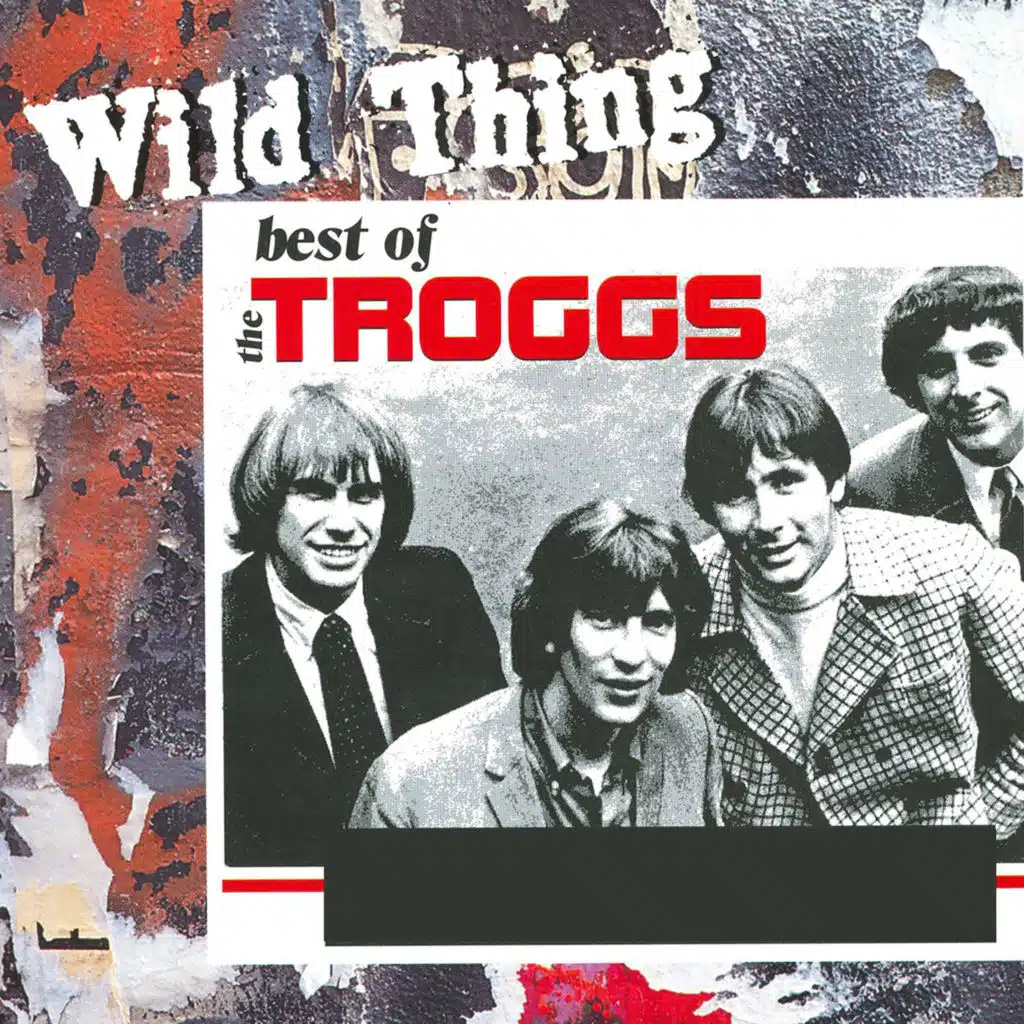 Wild Thing (Rerecorded)
