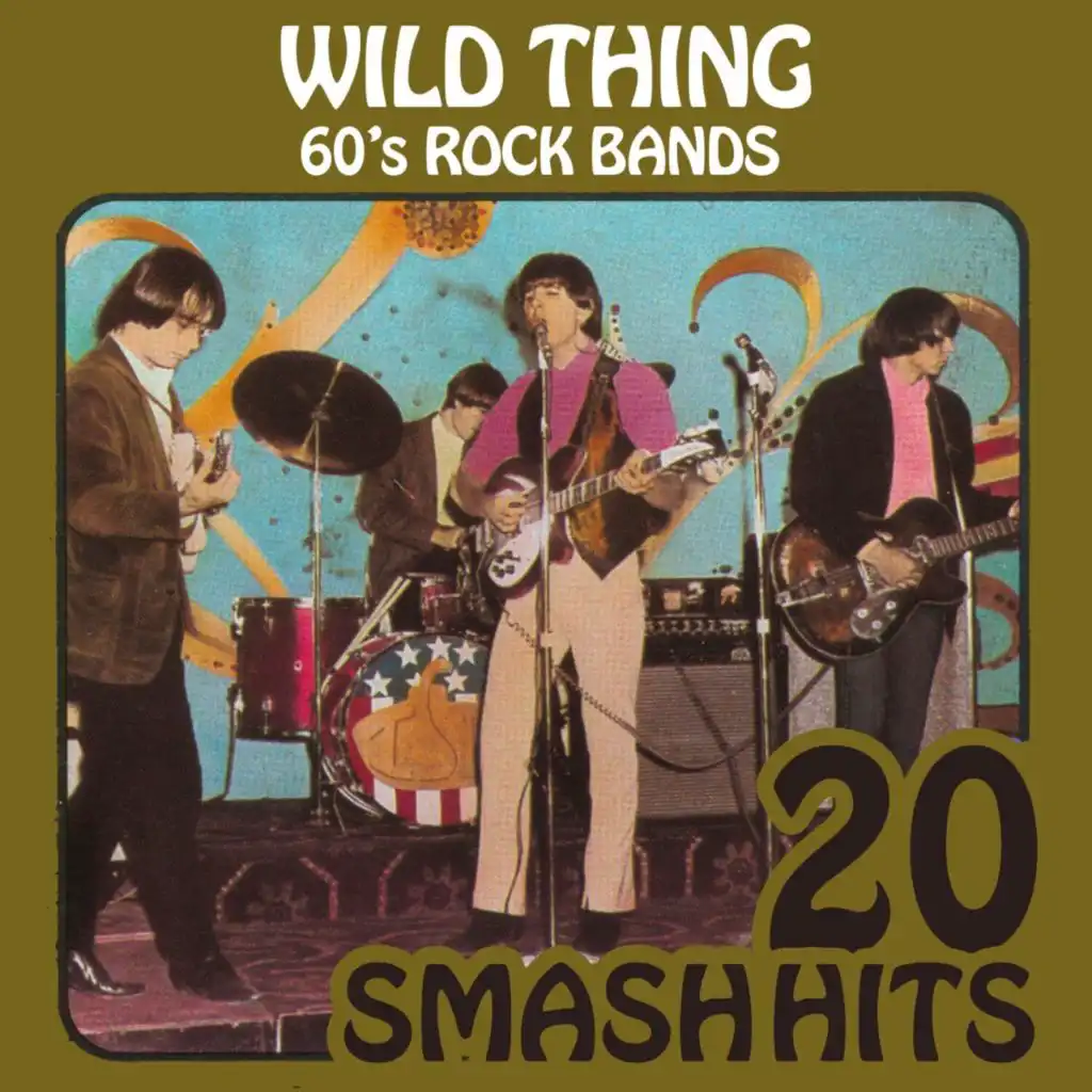 Wild Thing (Rerecorded)