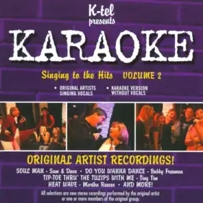 Karaoke: Volume 2 - Singing to the Hits