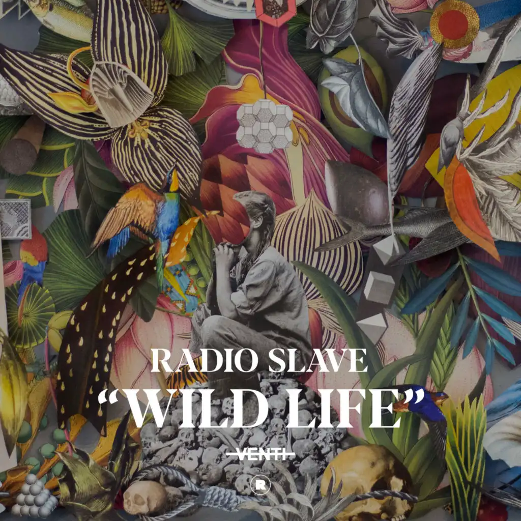 Wild Life (Dub Mix - Extended)