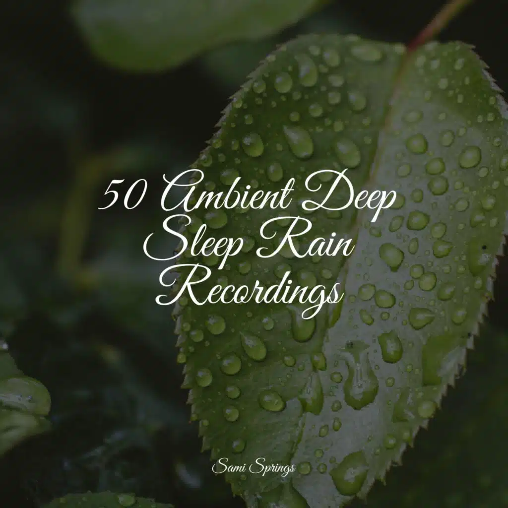 Ocean Waves (Medium)