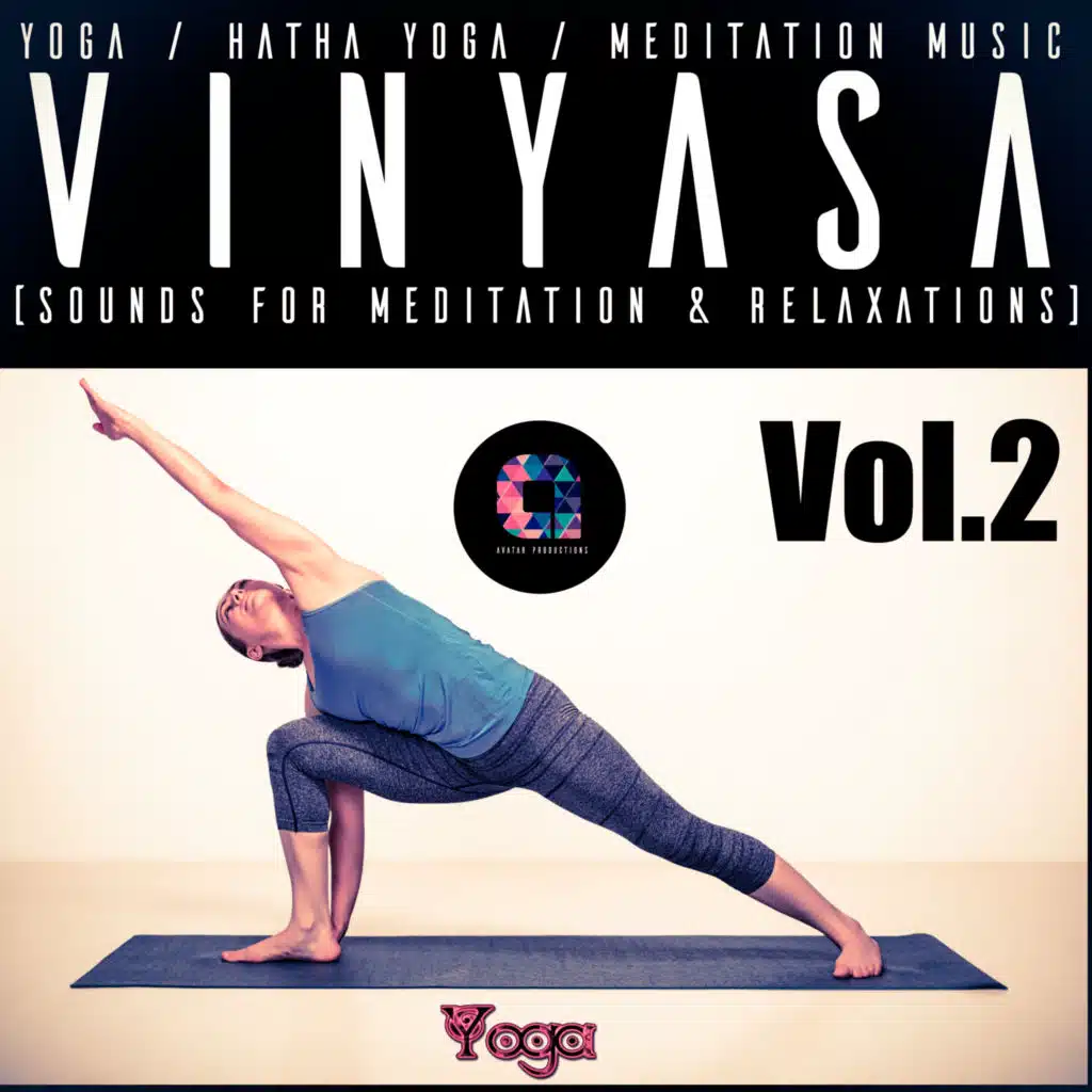 Vinyasa, Vol.2