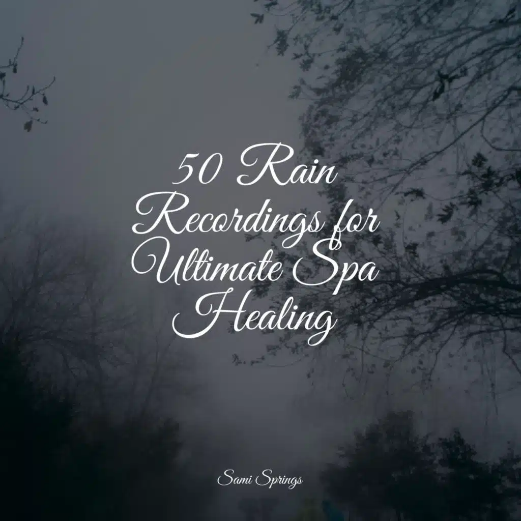 50 Rain Recordings for Ultimate Spa Healing