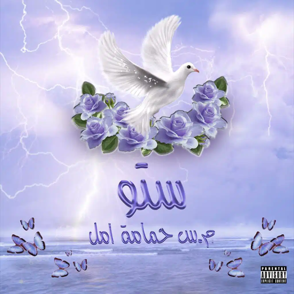 م س حمامه أمل