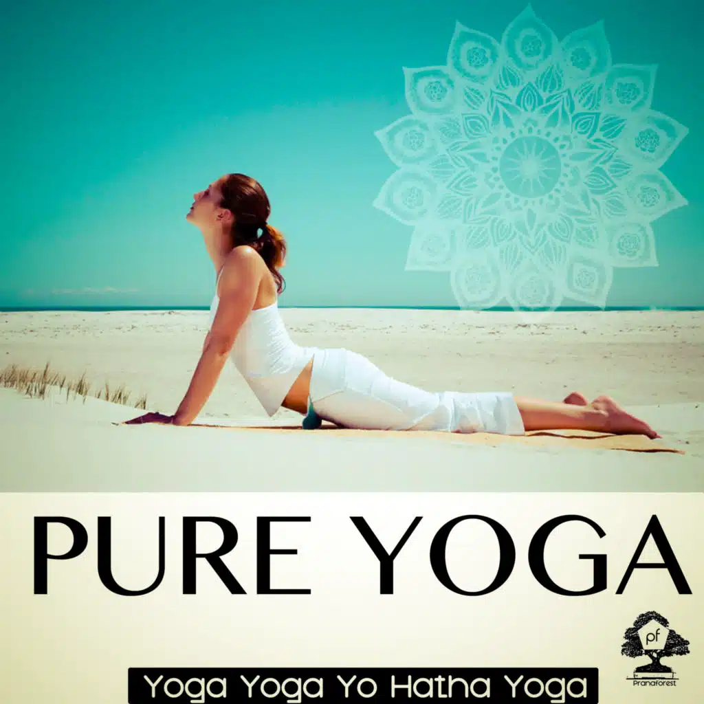 Pure Yoga