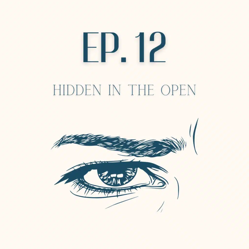 Hidden In The Open - Episode 12