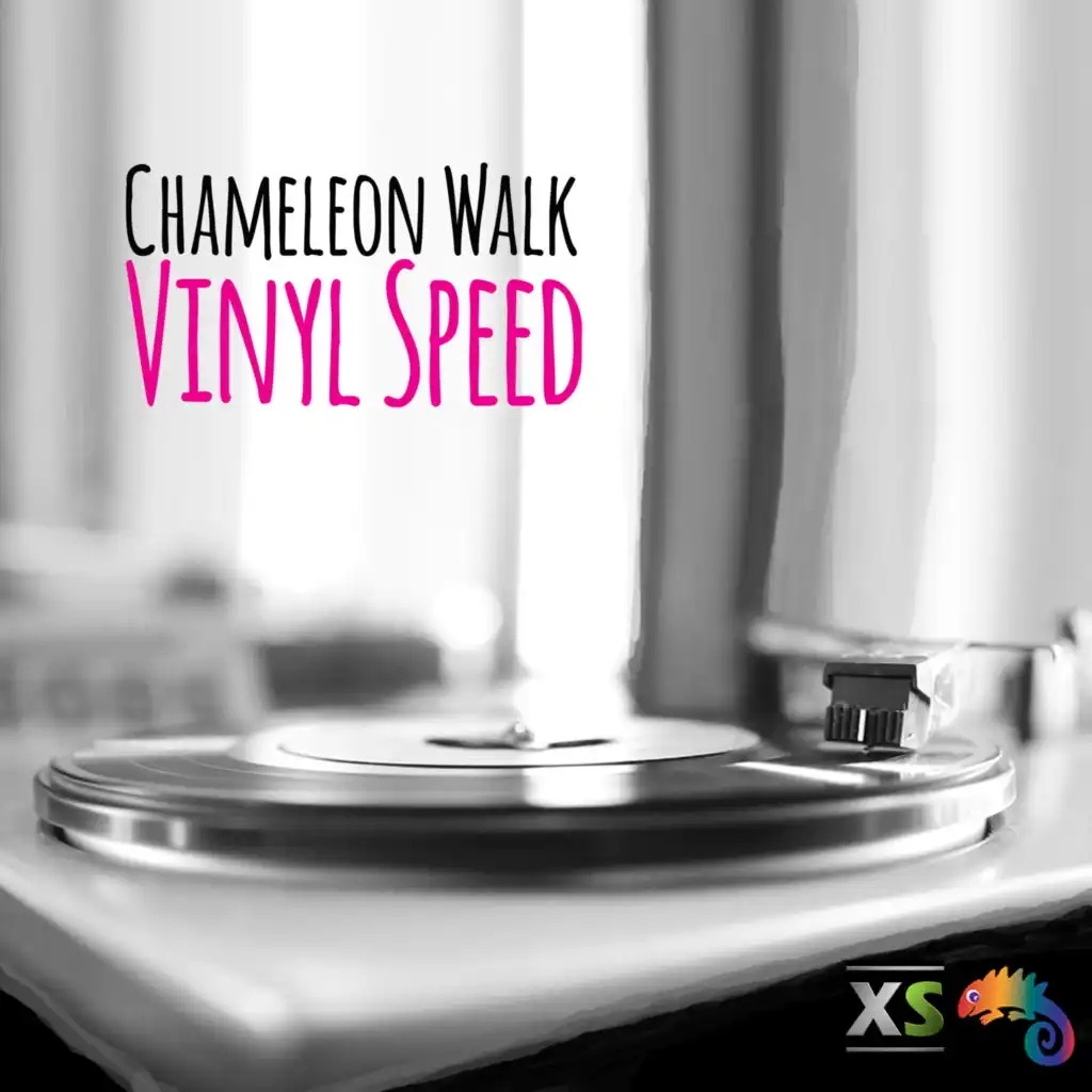 VINYL SPEED (Radio Edit)