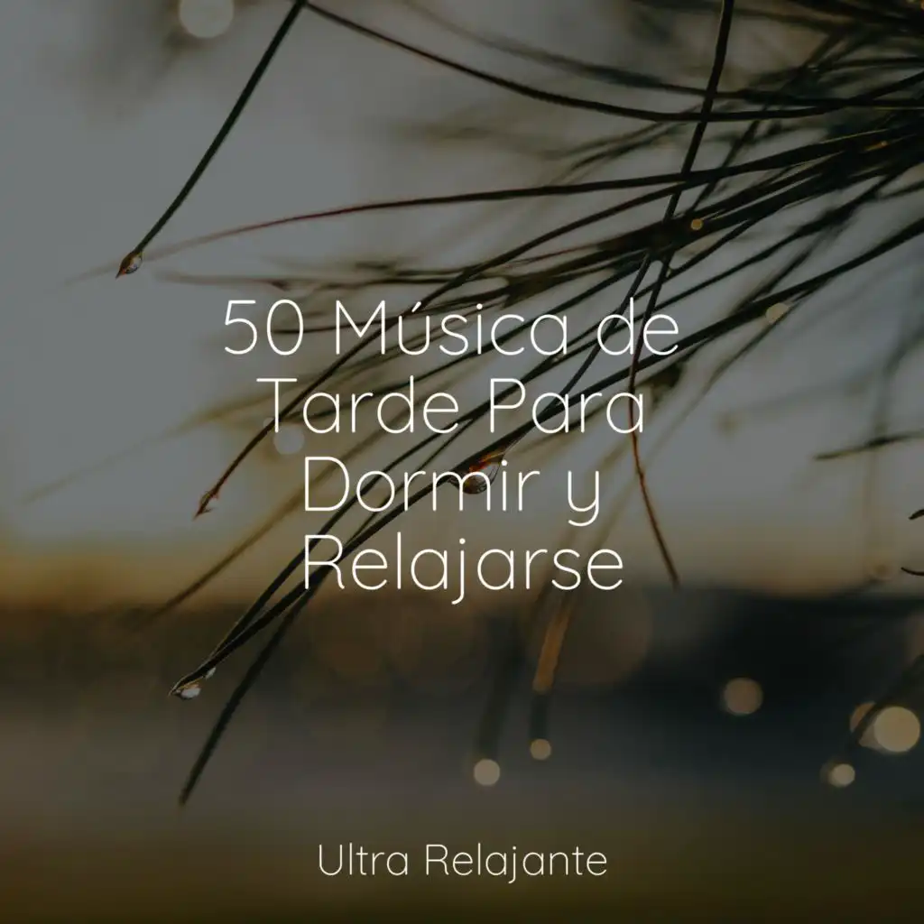 50 Melodías Ambientales Para Relajarse