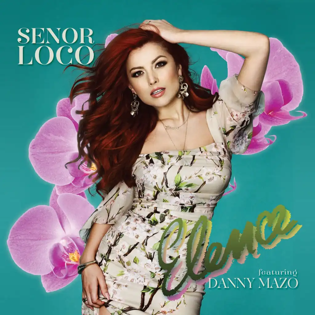 Señor Loco (Radio Edit) [feat. Danny Mazo]