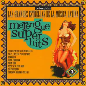 Las Grandes Estrellas de la Música Latina, Vol. 2: Merengue Super Hits