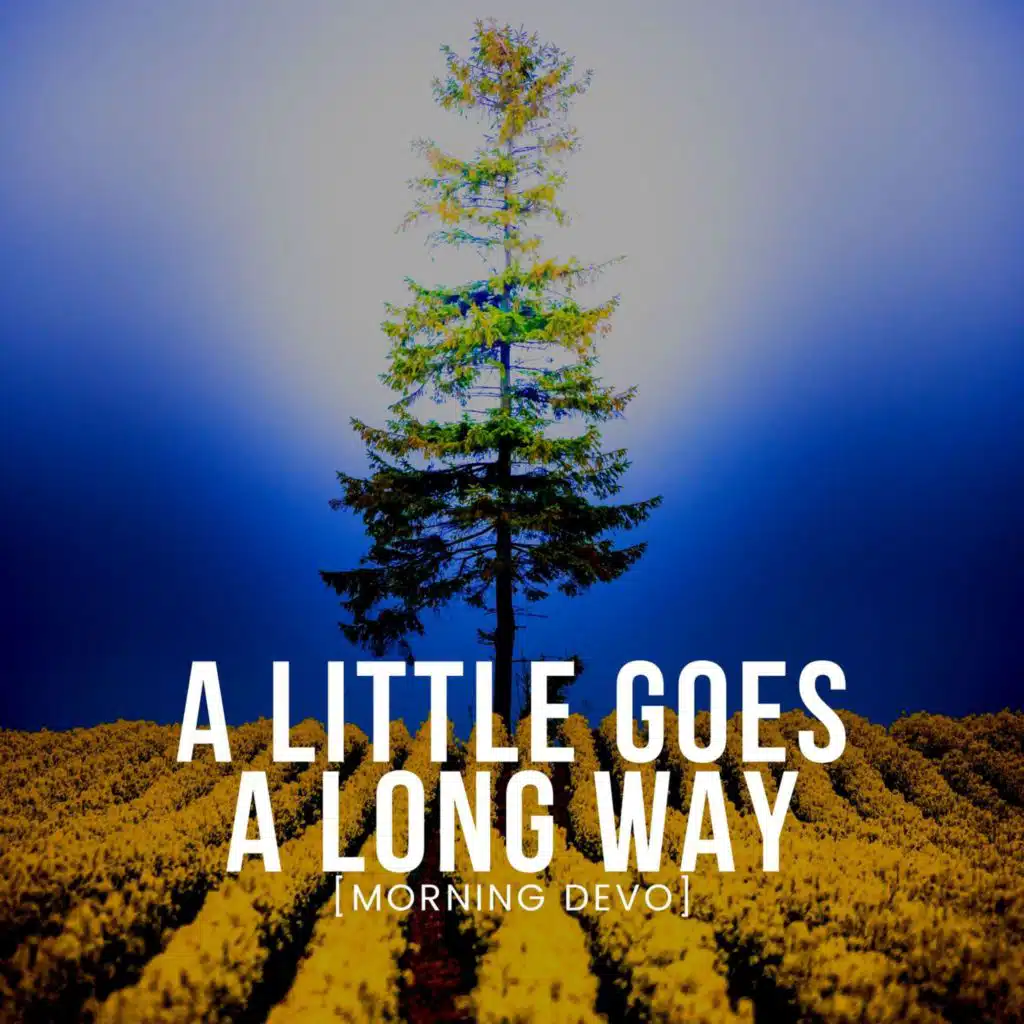 A little goes a long way [Morning Devo]