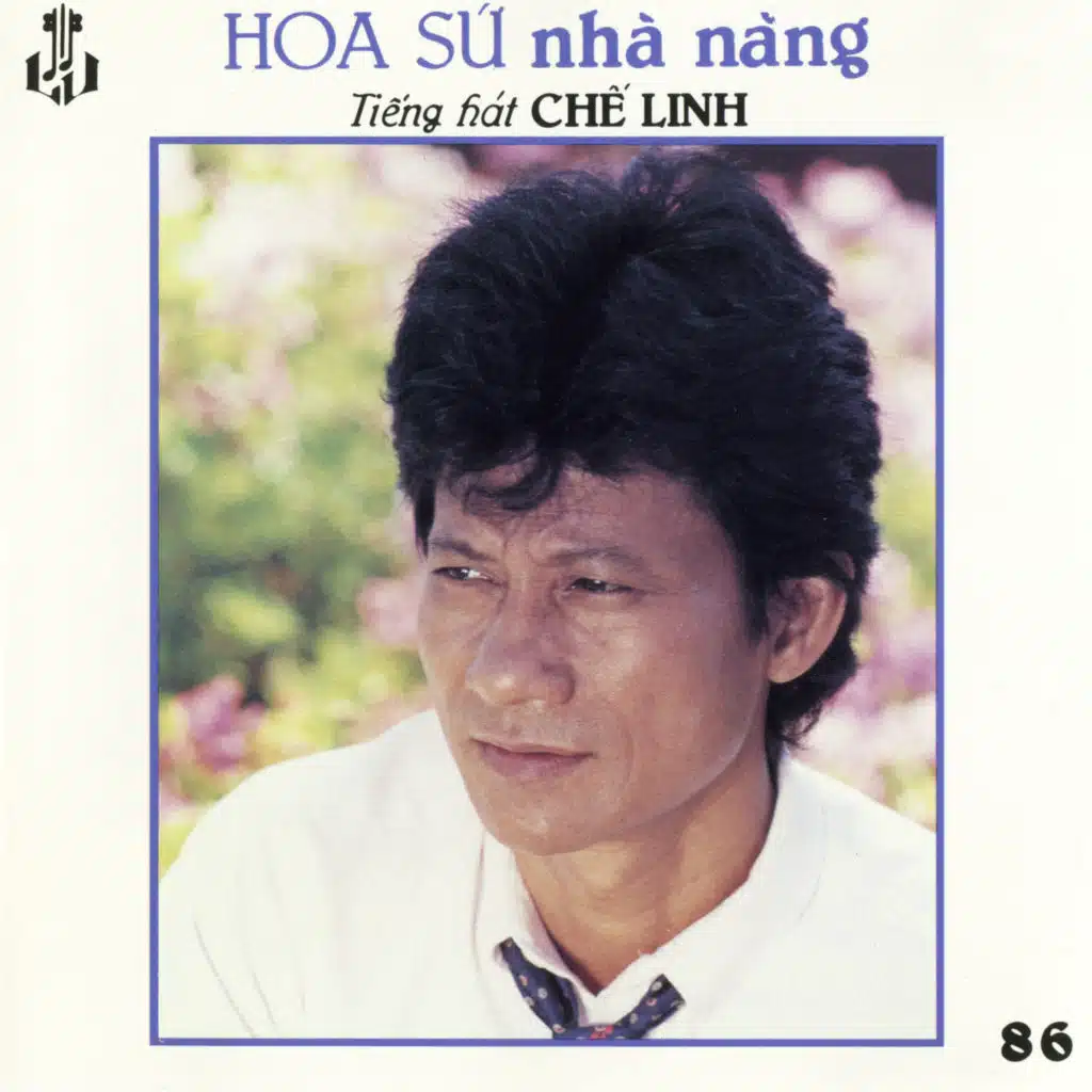 Hoa Sứ Nhà Nàng