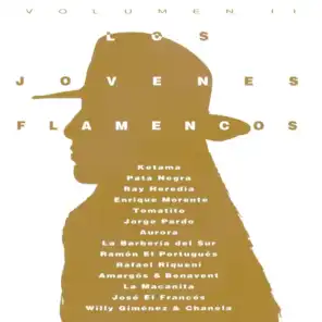 Los Jóvenes Flamencos, Vol. 2