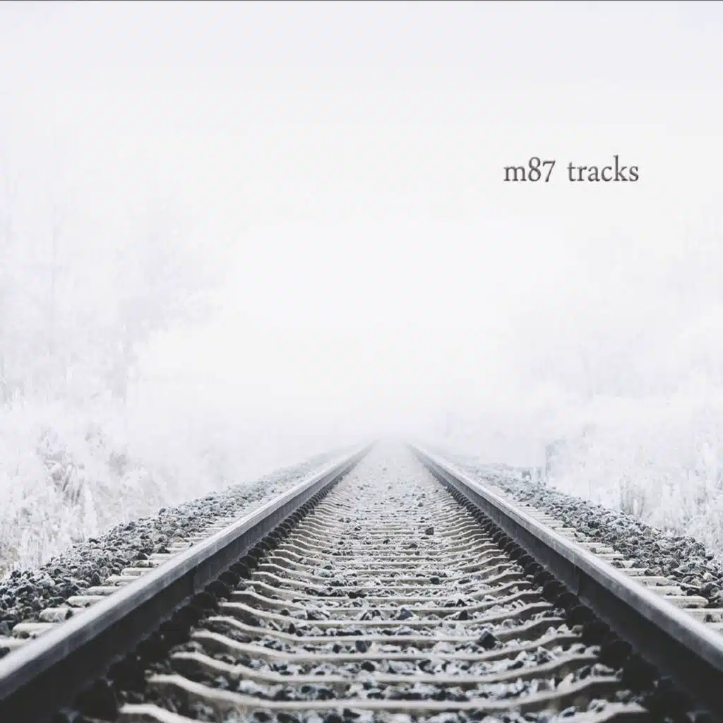 Tracks