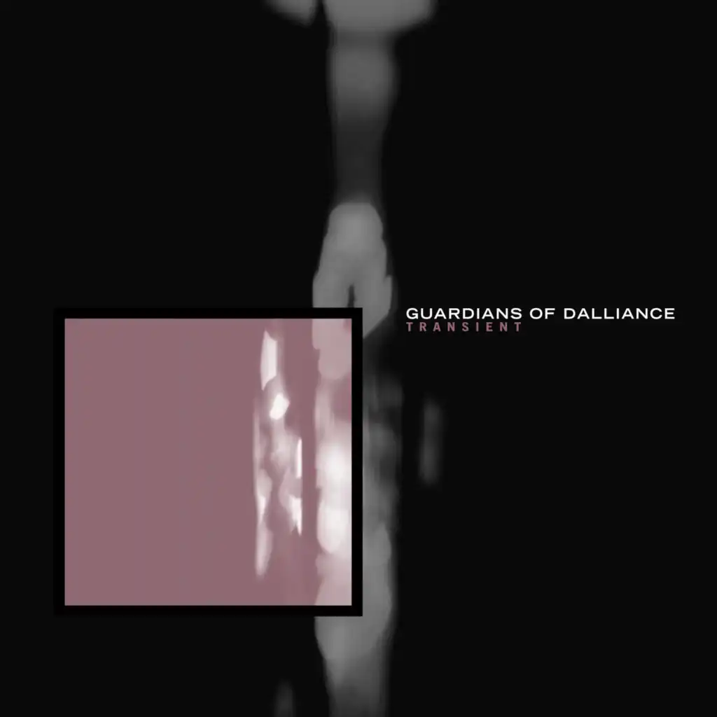 Transient (Spirit & Digital Remix)