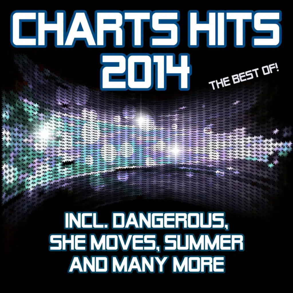 Charts Hits 2014