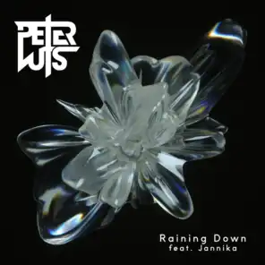 Raining Down (Radio Edit) [feat. Jannika]