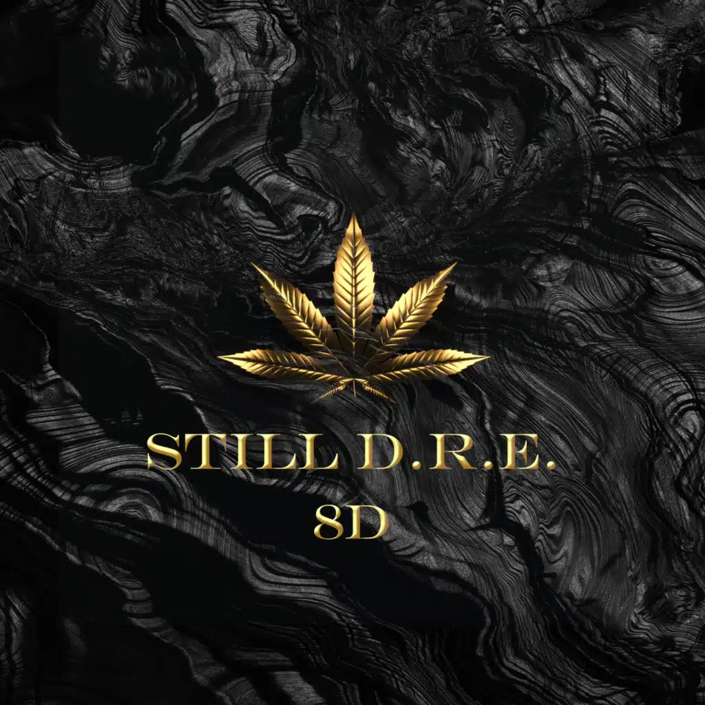 Still D.R.E (8D)