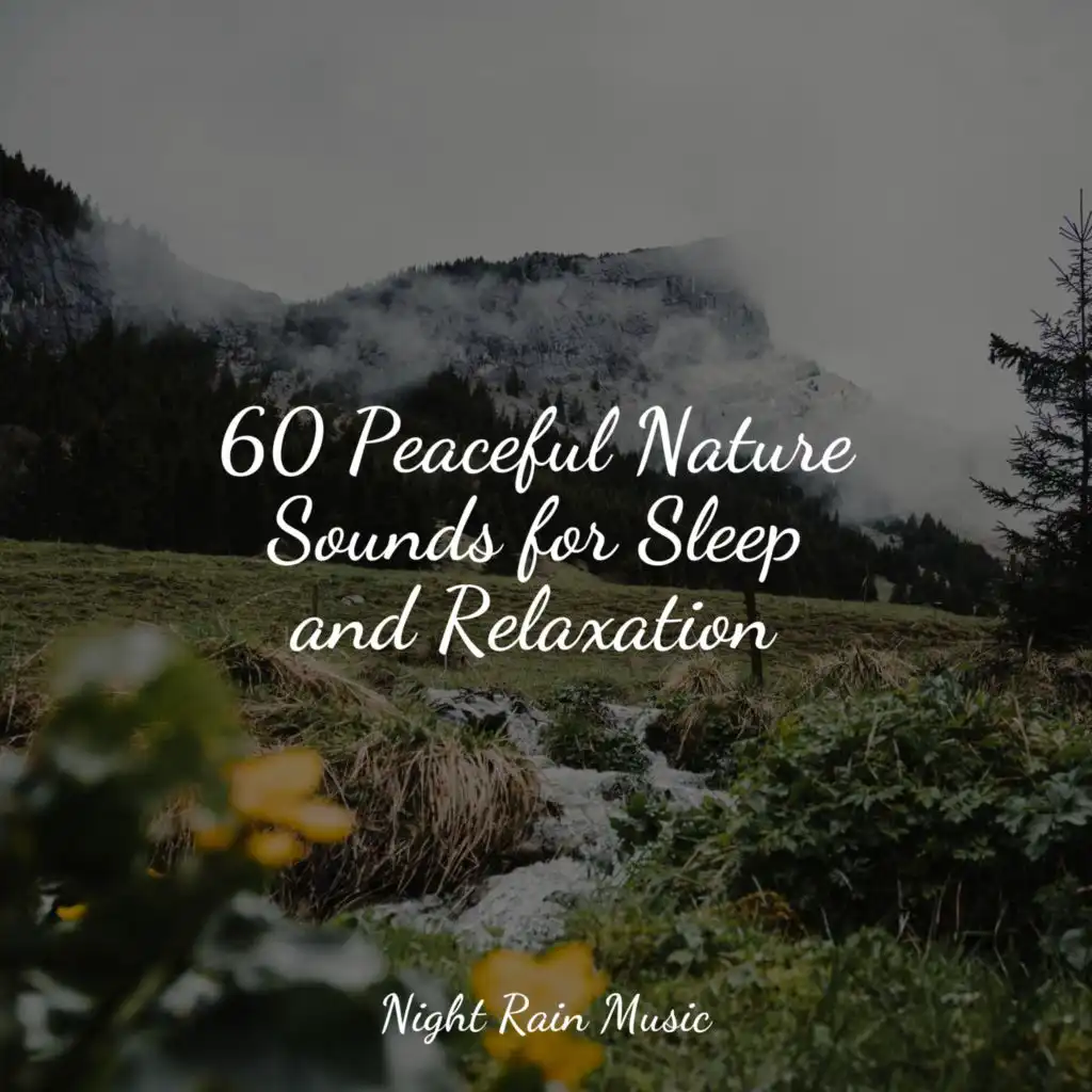 60 Peaceful Nature Sounds for Sleep and Relaxation
