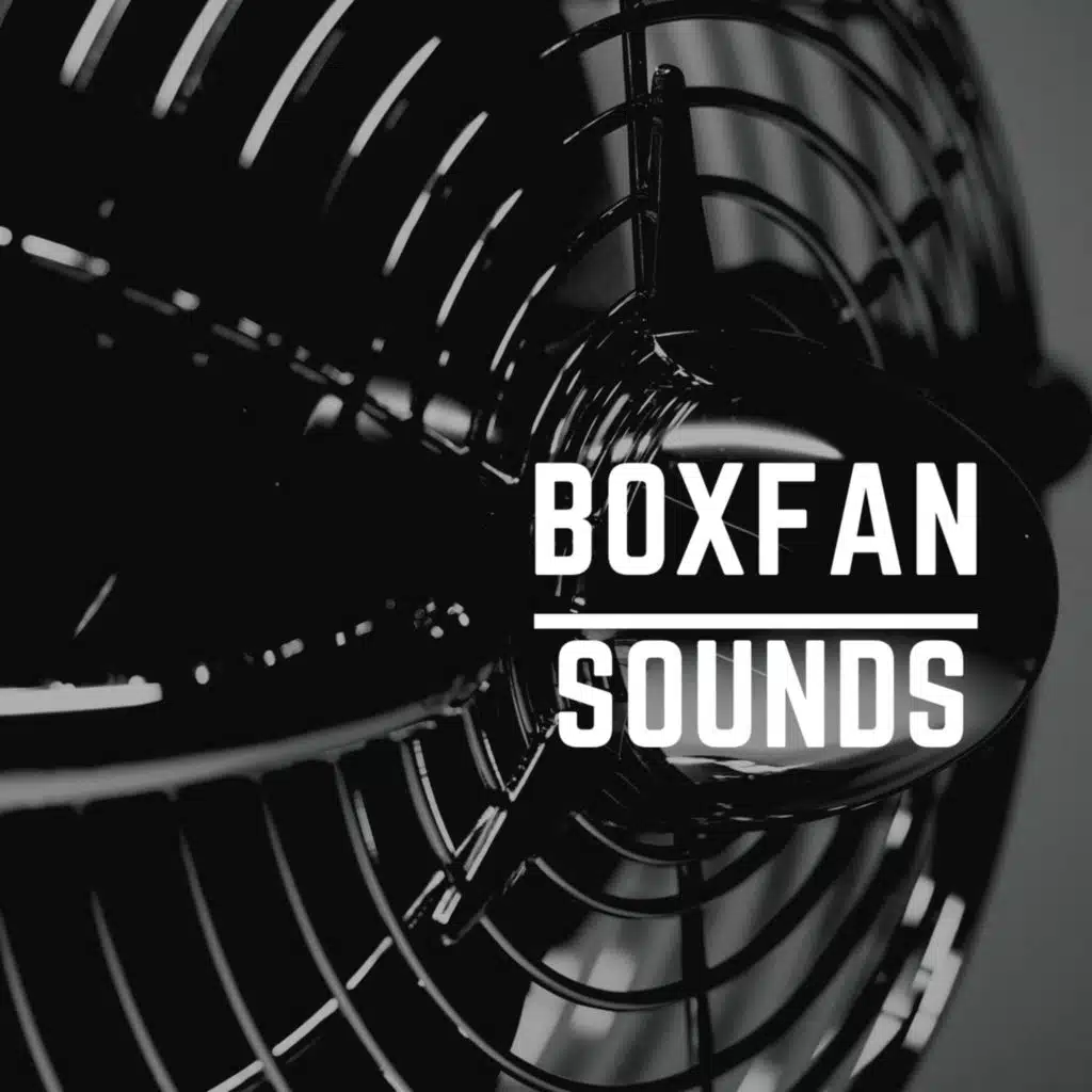 Box Fan