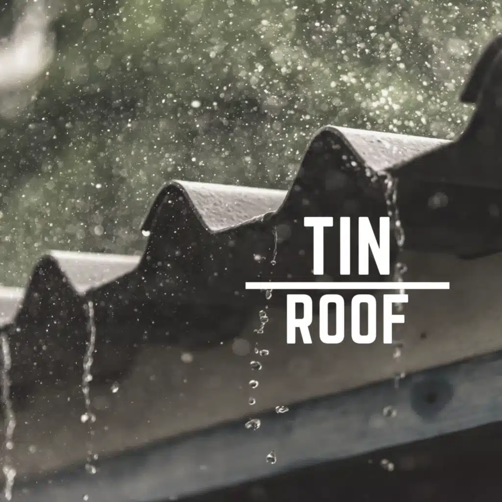 Tin Roof Rain