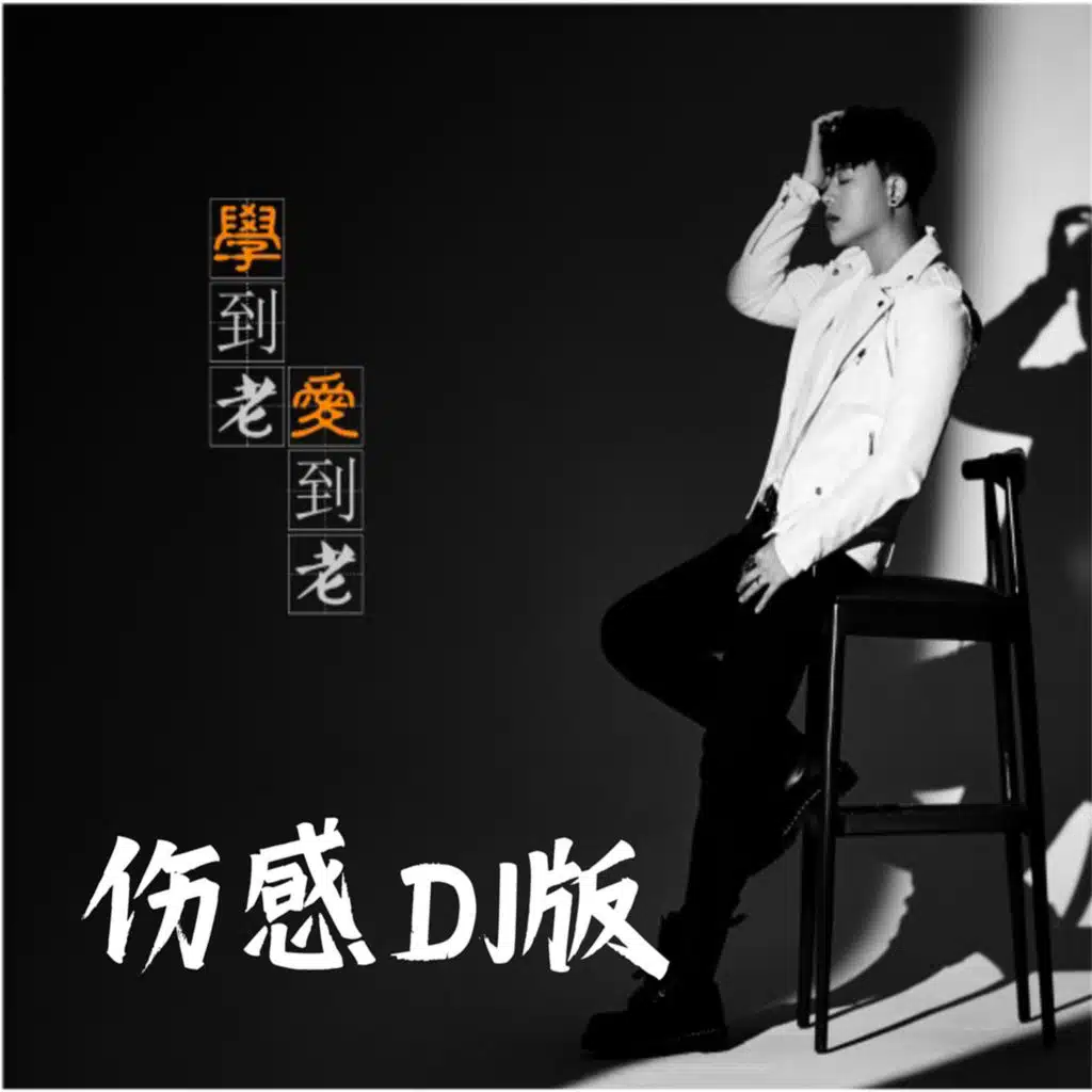 学到老爱到老 (伤感DJ版)