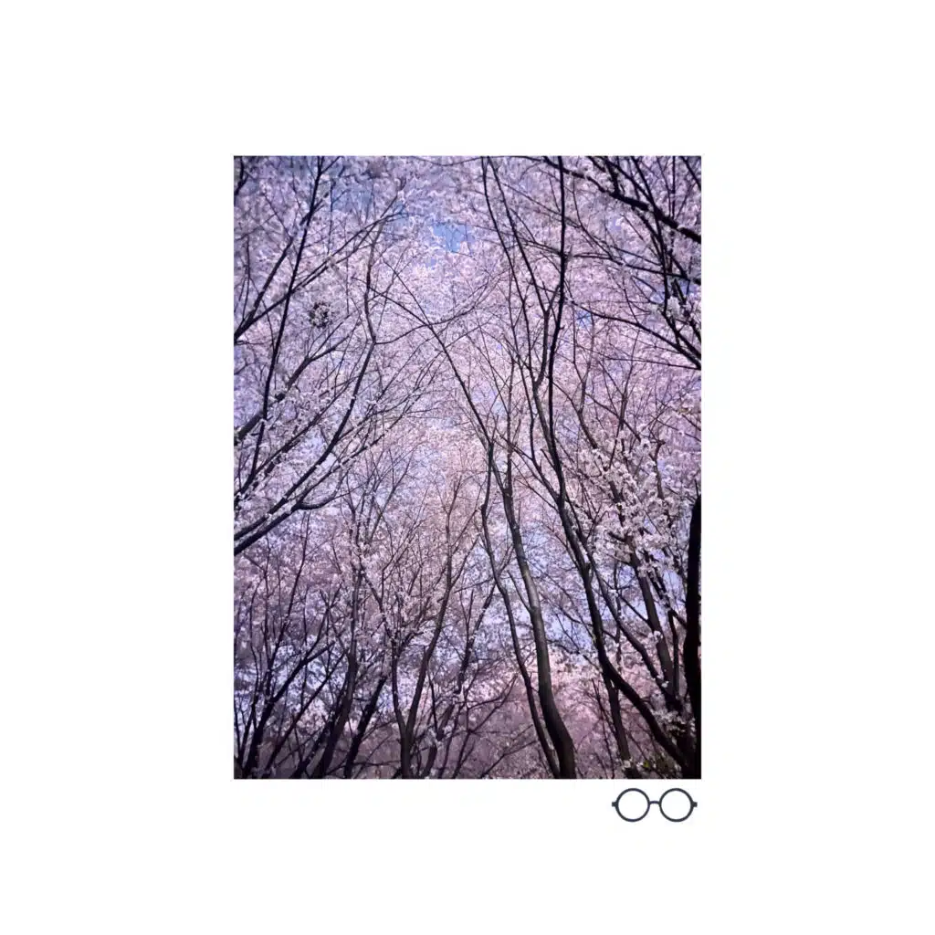 Flowers Blooming At Night