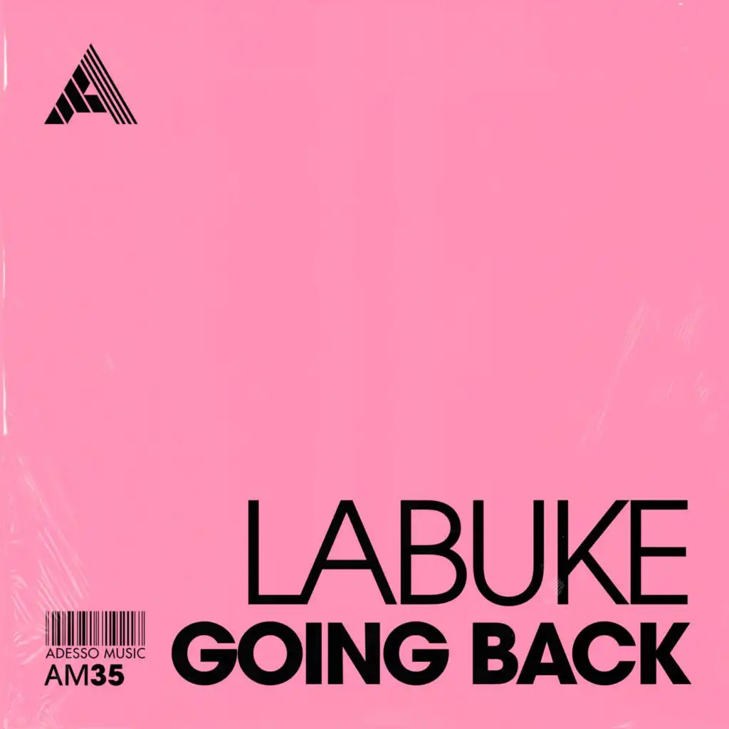 Going Back (Extended Mix)