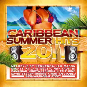 Caribbean Summer Hits 2011