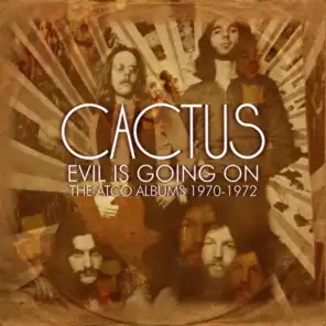 Evil Is Going On: The Atco Albums 1970-1972