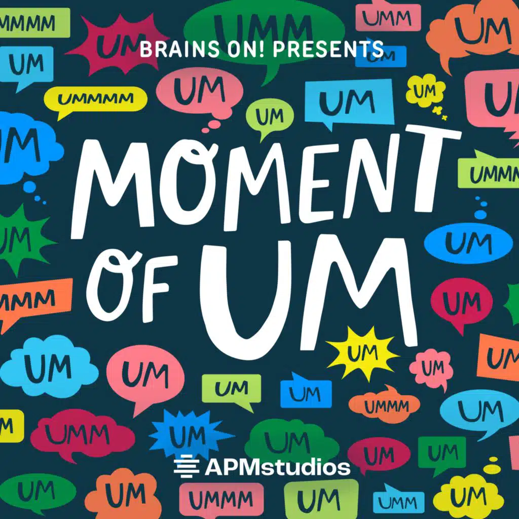 How do trees get so tall?