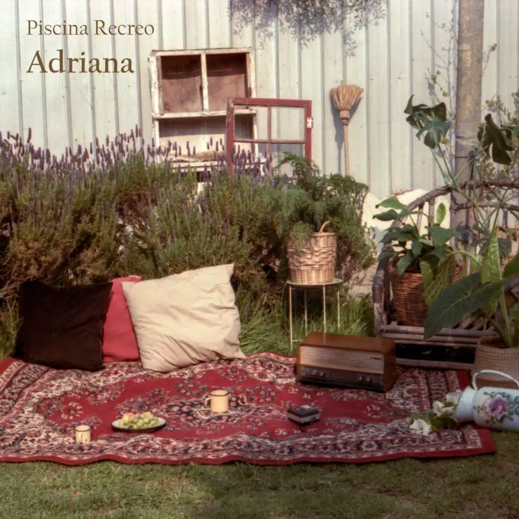 Piscina Recreo