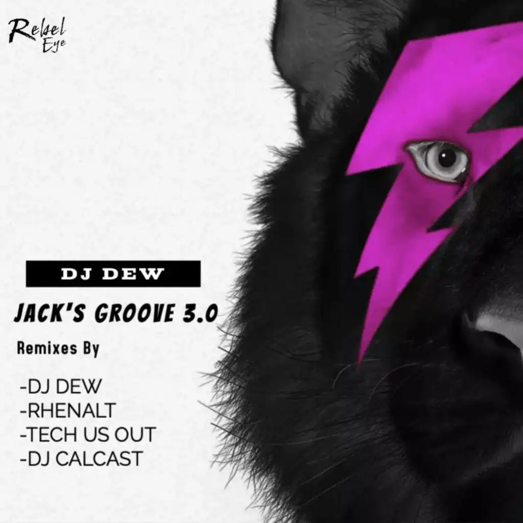 Jack's Groove 3.0 (Dj Dew feat Holly  Remix)