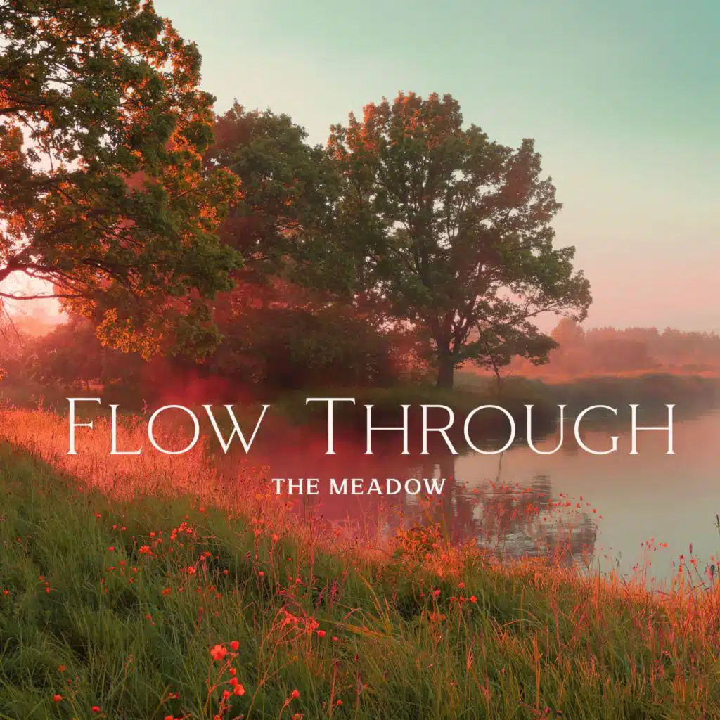Flow Through the Meadow