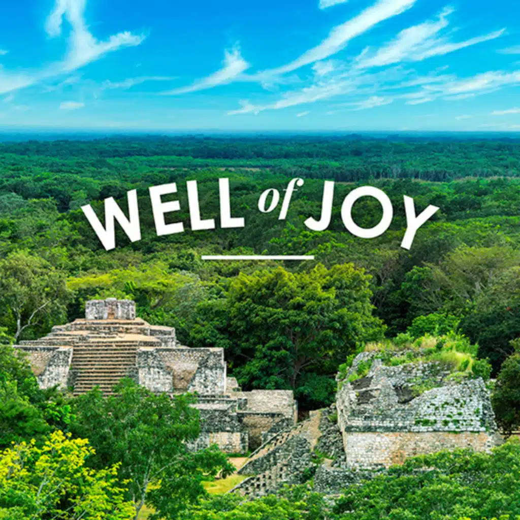 Well of Joy
