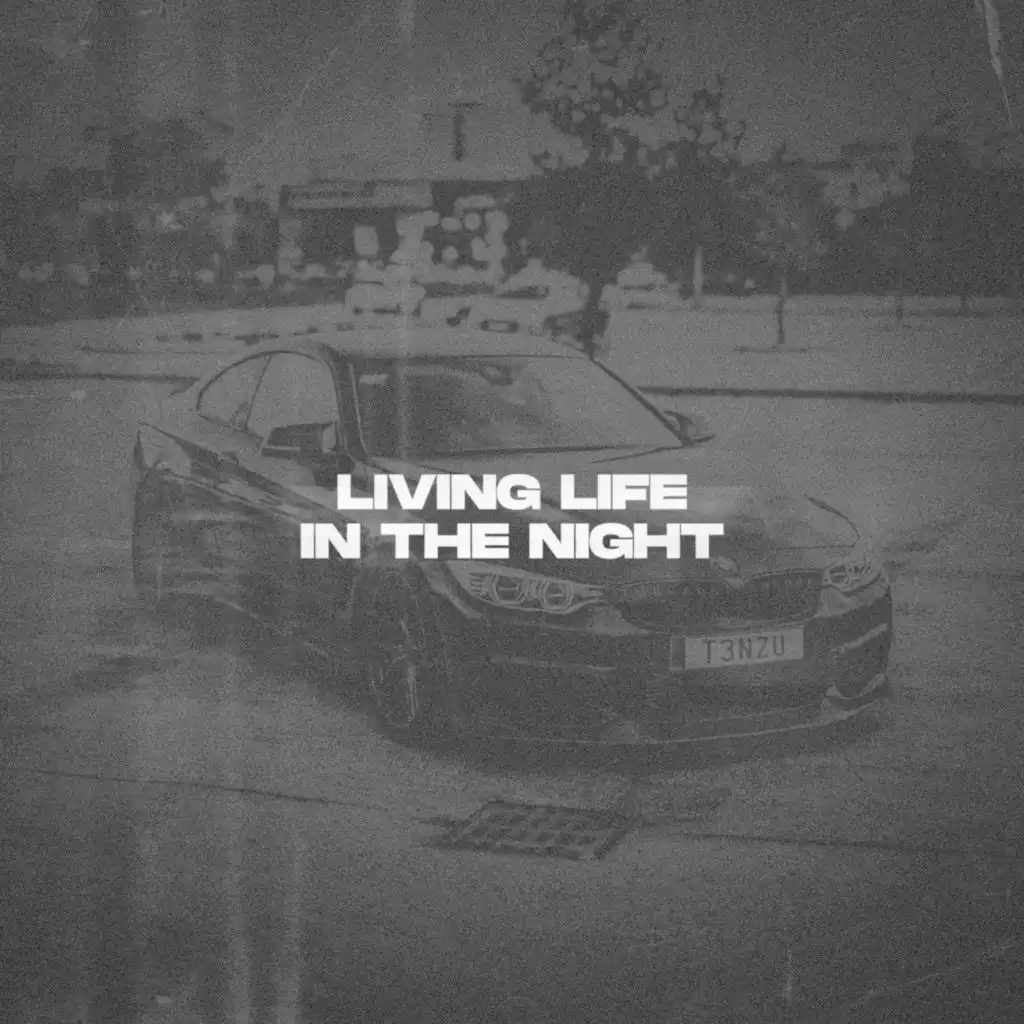 Living Life, In The Night - Slowed