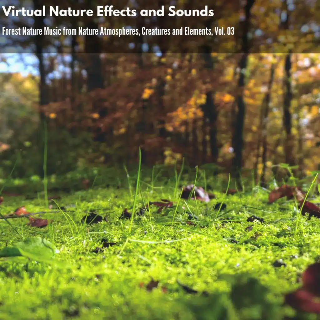 Virtual Nature Effects and Sounds - Forest Nature Music from Nature Atmospheres, Creatures and Elements, Vol. 03