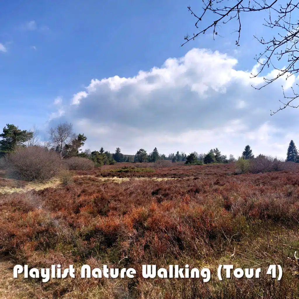 E Pow E (Single Mix)