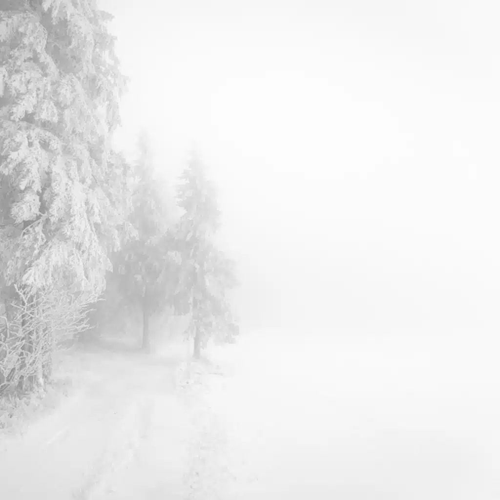 Виталий Русавук