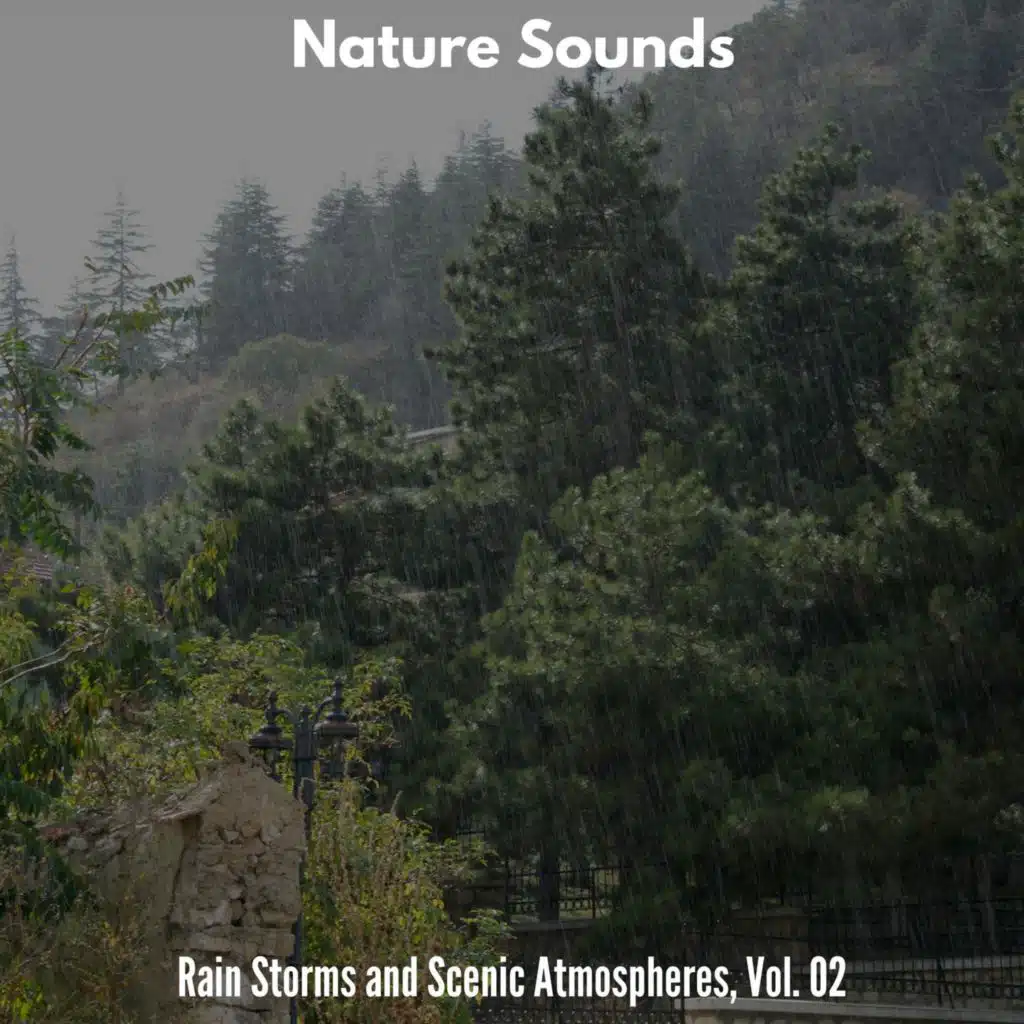 Nature Sounds - Rain Storms and Scenic Atmospheres, Vol. 02