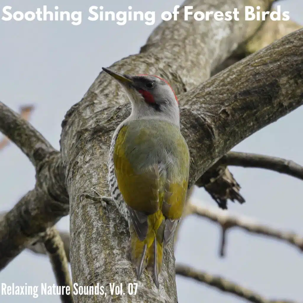 Daunting Desert Wind