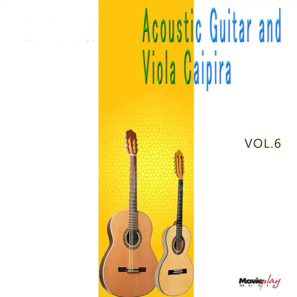 Acoustic Guitar and Viola Caipira, Vol.6