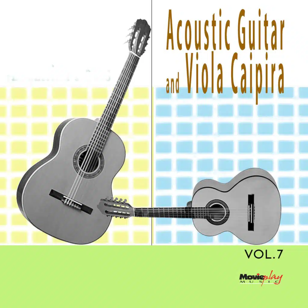 Acoustic Guitar & Viola Caipira, Vol. 7